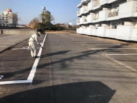 駐車場の白線引き